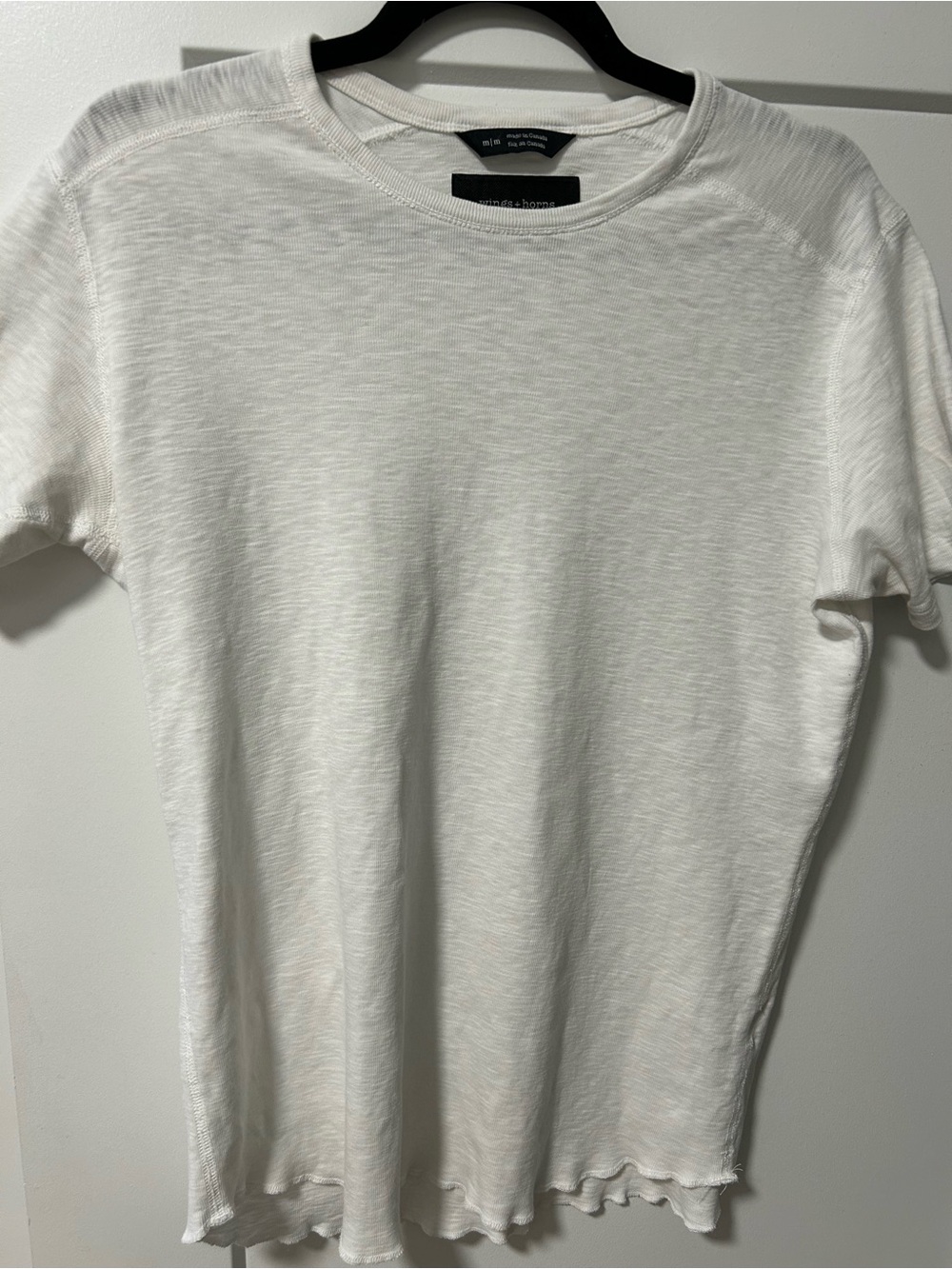 Wings + Horns Slub Tee